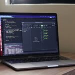 How do bugs suddenly appear in my system?